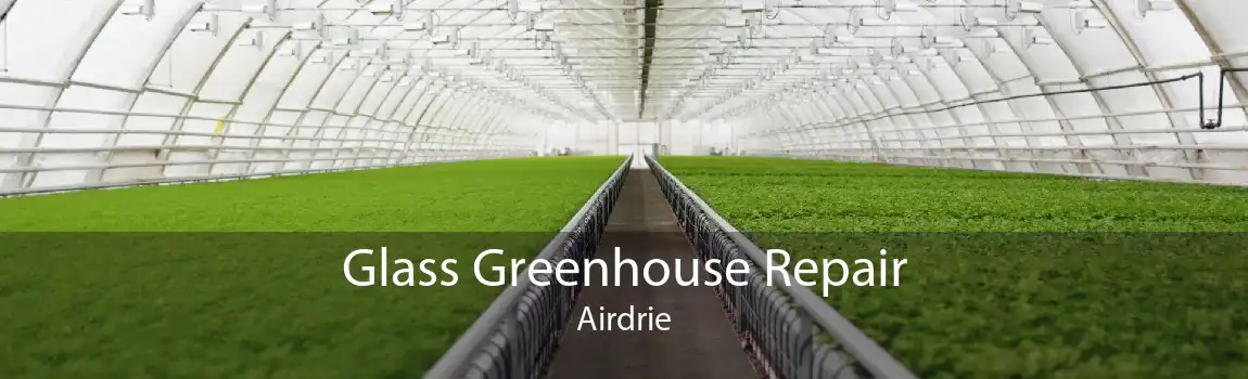 Glass Greenhouse Repair Airdrie